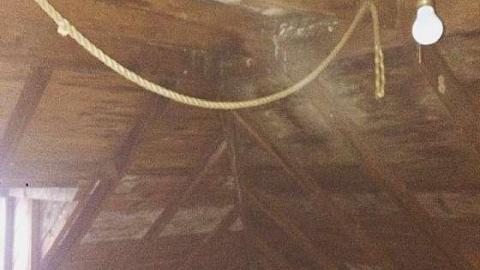 King Glider Plane photo 5