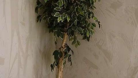 Beer & Bowl '18 - DSC00882.jpg