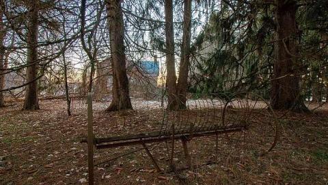 January 2019 cover photo