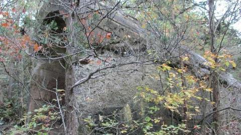 Unknown - The-Portland-Cement-Ruins25.jpg