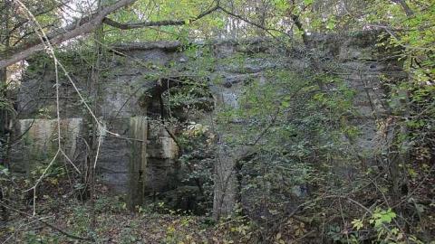 Unknown - The-Portland-Cement-Ruins3.jpg