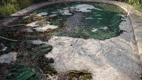 Jaguar Mini Golf '18 - DSC01521.jpg