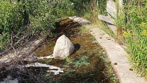 Jaguar Mini Golf '18 - DSC01531.jpg