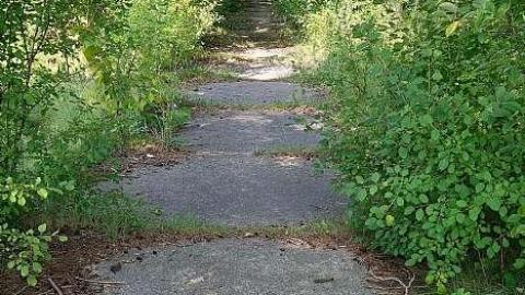 Photo from Shevchenko '18