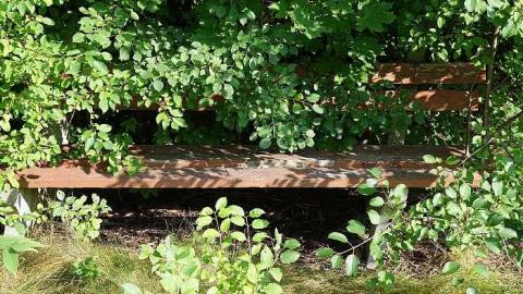 Photo from Shevchenko '18