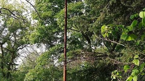 Photo from Shevchenko '18