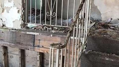 Nobody Home - IMG_9825.jpg