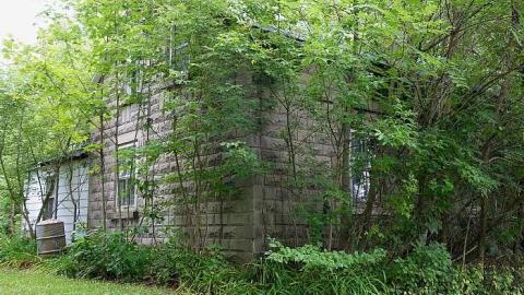 Creator Of Thy Youth '18 - DSC01822.jpg