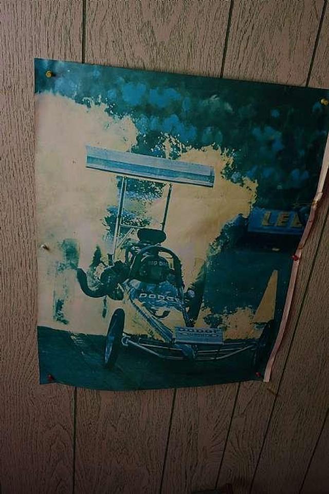 The Days of Youth photo 3