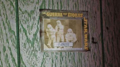 The Days of Youth photo 4