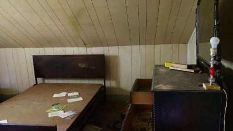 The Days of Youth photo 5