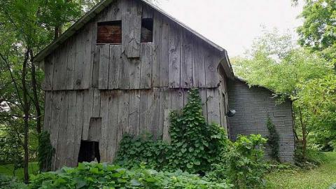 Creator Of Thy Youth '18 - DSC01906.jpg