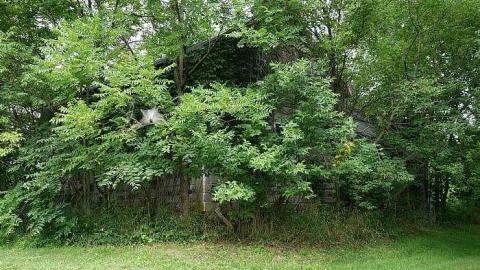 Creator Of Thy Youth '18 - DSC01907.jpg