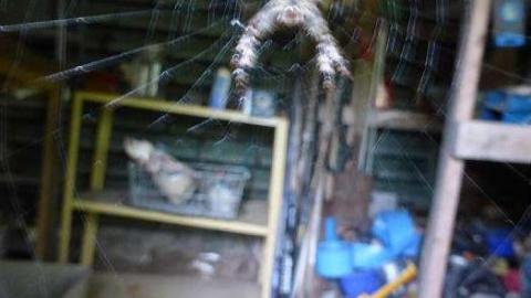 All that Remains - P1140165.jpg