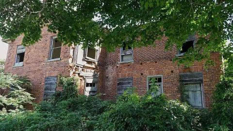 Bass Decay '18 - DSC02111.jpg