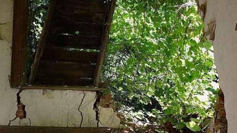 Bass Decay '18 - DSC02136.jpg