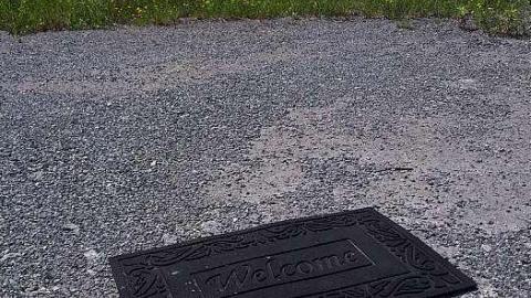 Byes Farm - Byes-Manor-Farm2.jpg