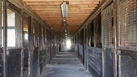 Byes Farm - Byes-Manor-Farm29.jpg