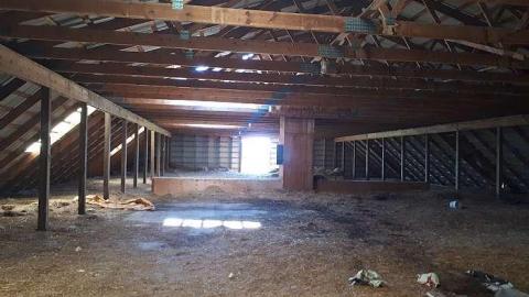 Photo from Byes Farm