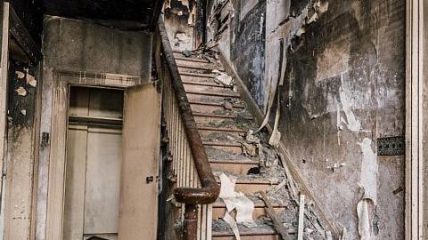 Photo from Family Disaster