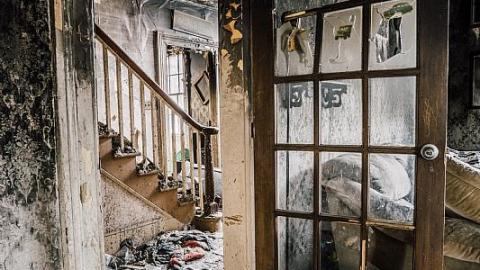 Photo from Family Disaster