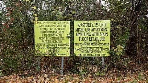 Photo from November 2018