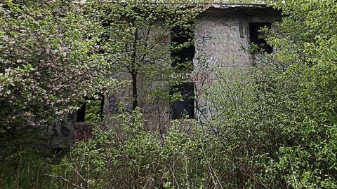 Concrete City - Concrete-City15.jpg