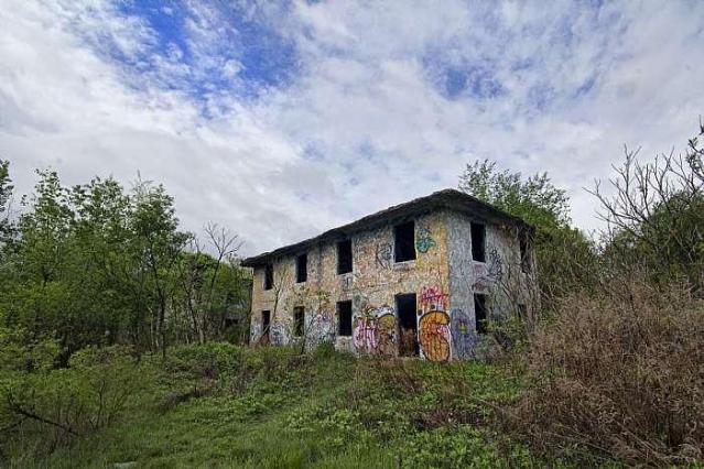 Concrete City photo 2