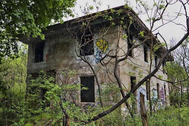 Concrete City photo 4