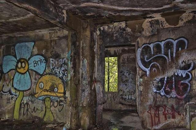 Concrete City photo 3