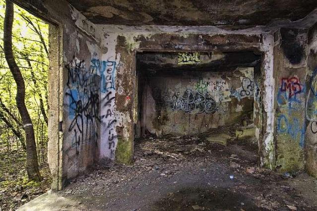 Concrete City photo 5