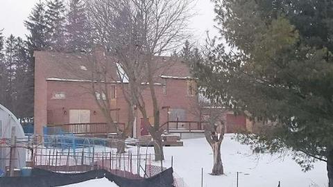 Winter Visit - Feeling-Nippy...-2-for-168.jpg