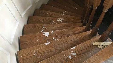 Ready for demo - Out-with-The-New,-In-With-The-New18.jpeg