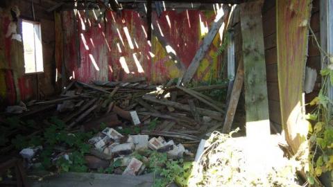 Photo from Summer 2011