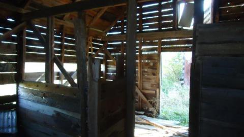 Summer 2011 - Deavy-Farm34.jpg