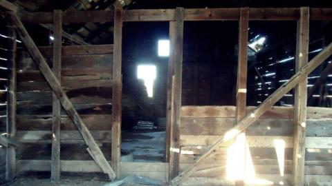 Summer 2011 - Deavy-Farm35.jpg