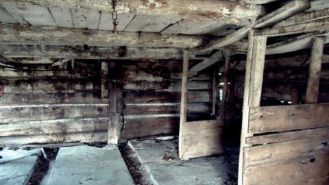 Summer 2011 - Deavy-Farm36.jpg