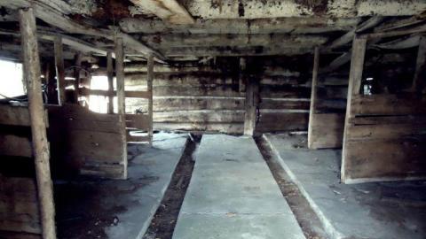 Summer 2011 - Deavy-Farm42.jpg