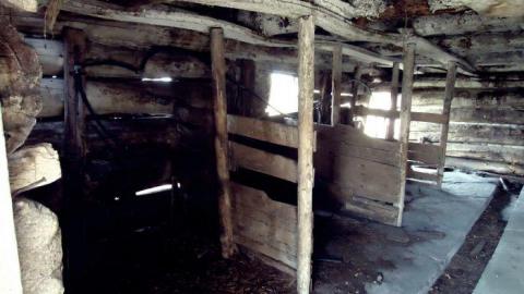 Photo from Summer 2011