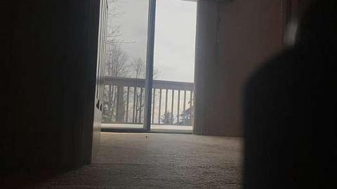 Tribal Mask? - 53296977_639718836458143_1188066113888452608_n.jpg