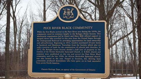 March 2019 - Puce-River-Black-Community7.jpg