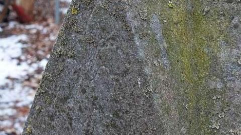 March 2019 - Puce-River-Black-Community10.jpg