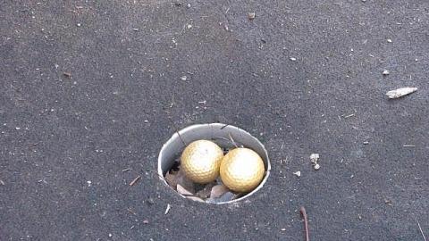 A Fore-Gone Conclusion photo 3