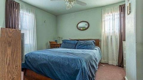 Hiding in Hockley - n4376702_9.jpg