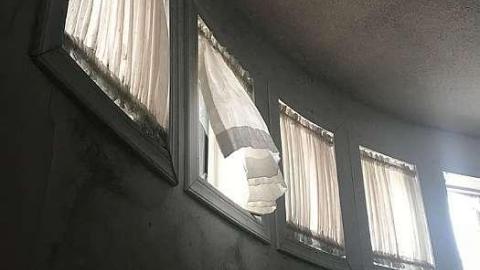 Feb 2019 - 54436162_547883955720276_6522307275229495296_n.jpg