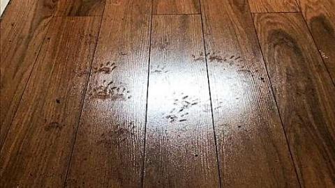 Feb 2019 - 53367927_314861652395363_7371388860443394048_n.jpg