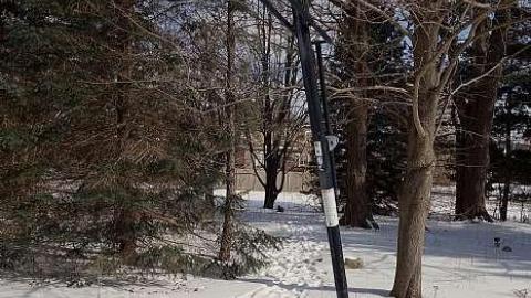 Street 'A' To Be '19 - DSC05302.jpg