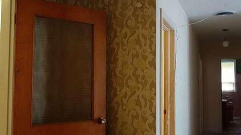 Photo from Toilet Down '18