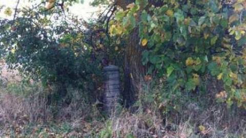 Teston Road Farm 2 - Teston-Road-Barn25.jpg