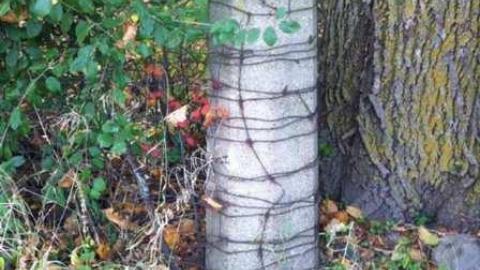 Teston Road Farm 2 - Teston-Road-Barn26.jpg